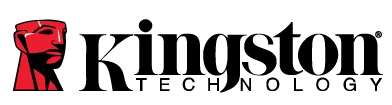 Kingston logo