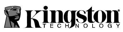 Kingston-Technology-logo